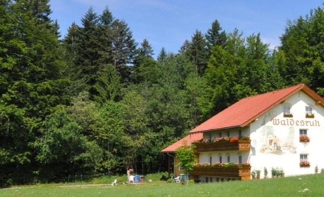 Pension Waldesruh in St.Oswald-Riedlhütte