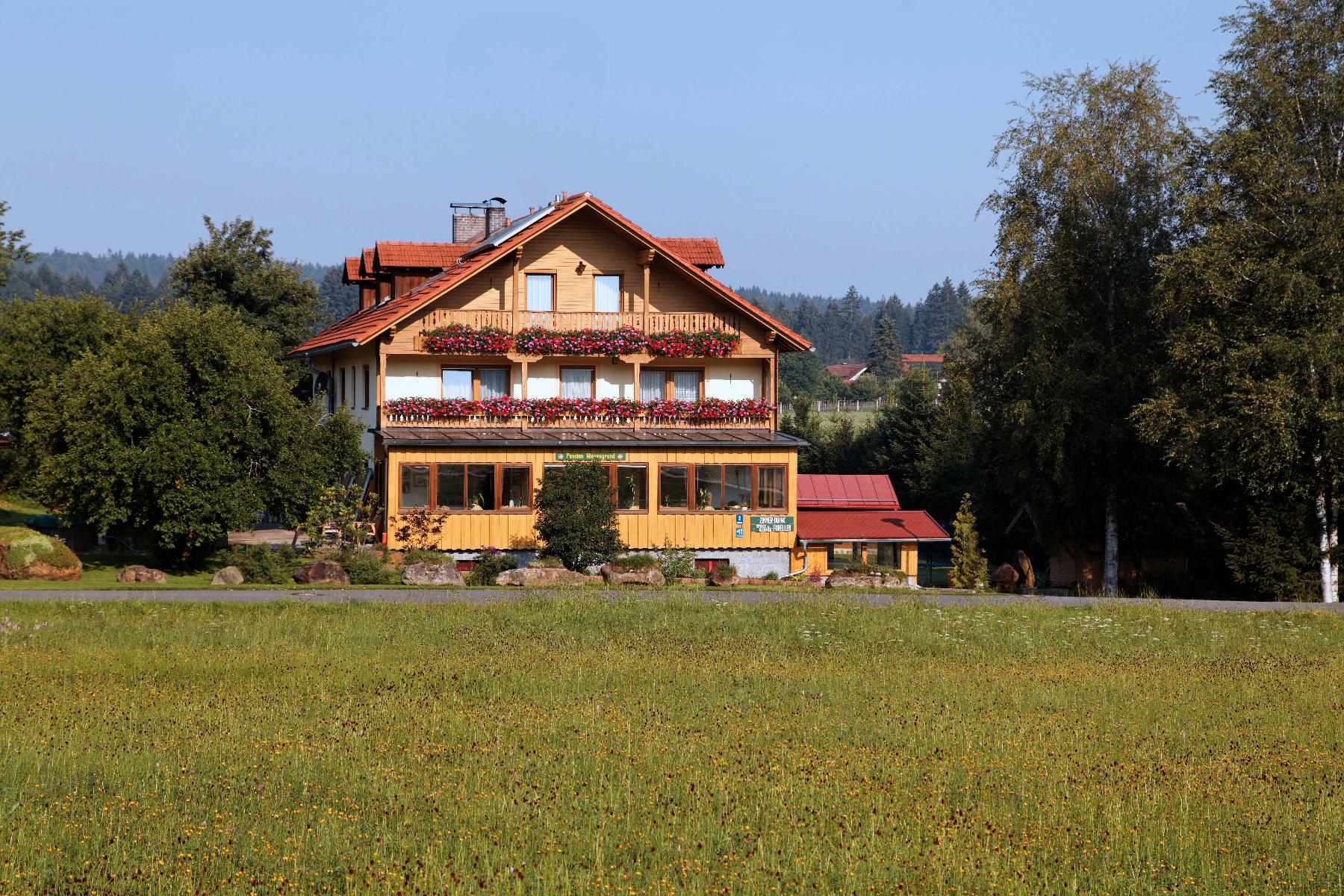 Pension Wiesengrund in Altschönau