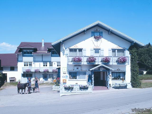 Pension-Bauernhof Kaufmann  in Langdorf