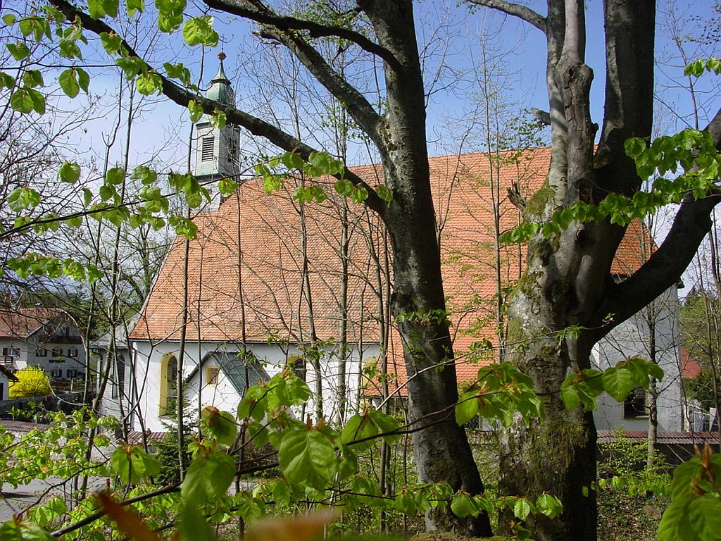 Fewo Lippl - Haus am Nationalpark in Spiegelau