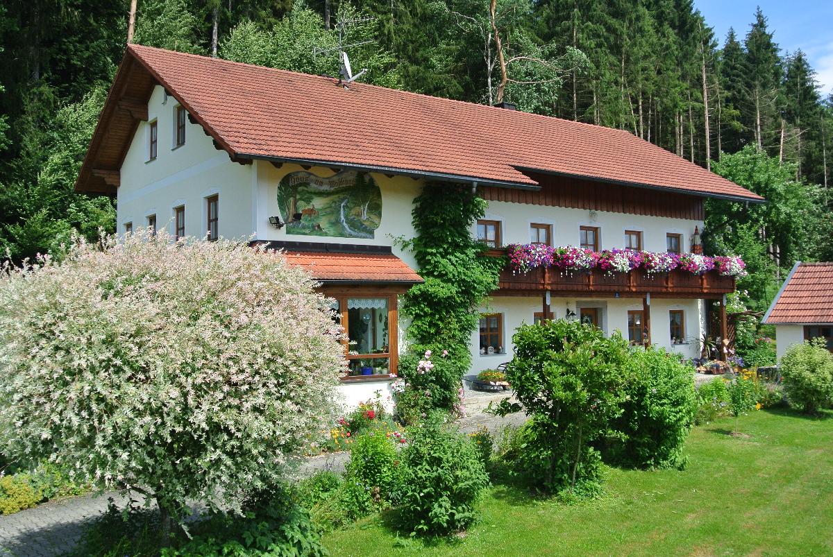 Haus am Waldrand - Ferienwohnung Augustin in Grafenau