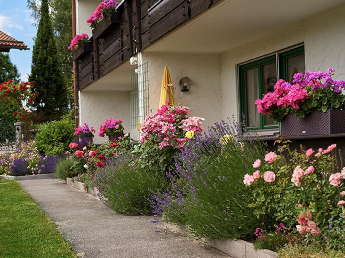 Ferienwohnungen Haus Carola in Bodenmais