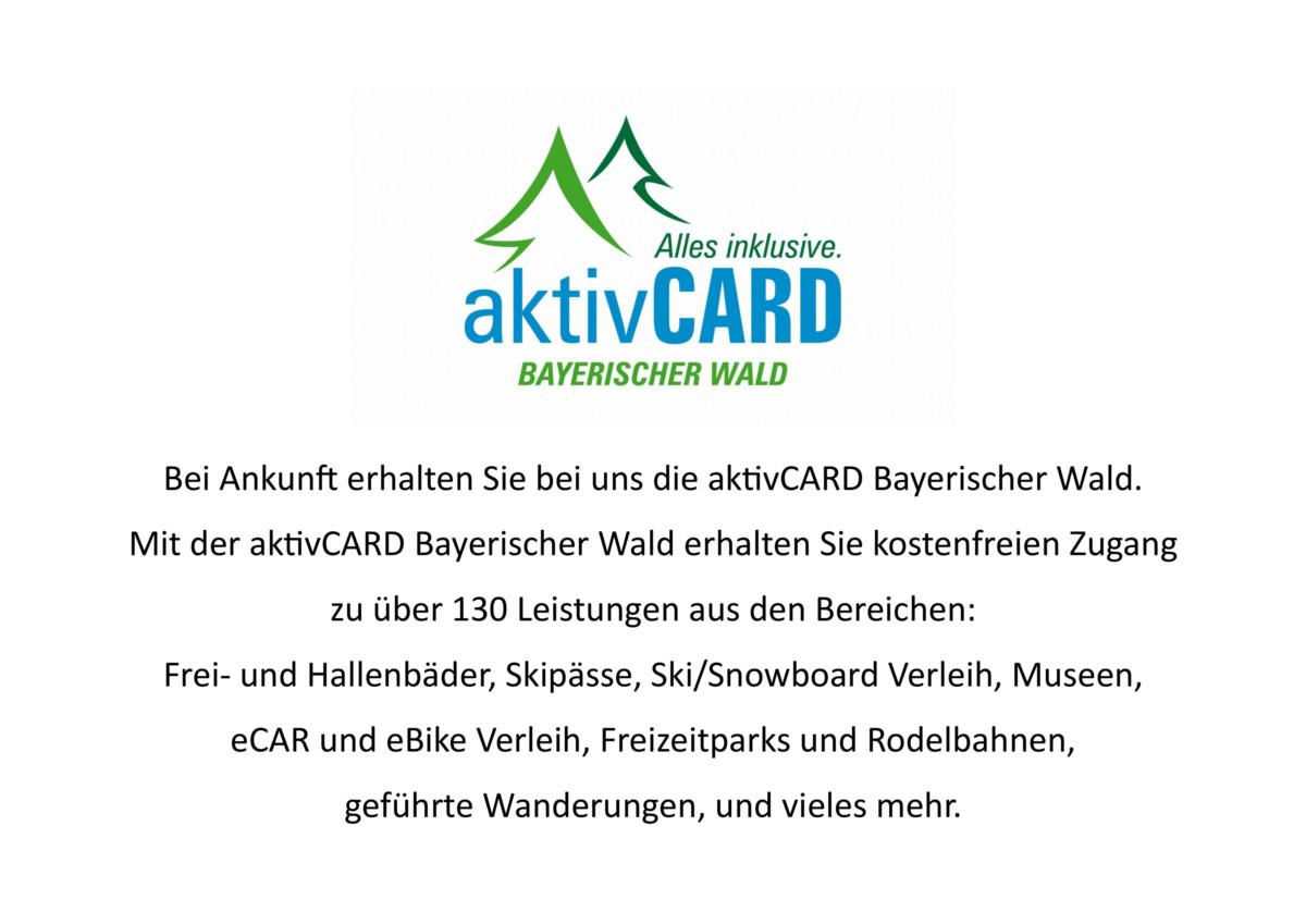 Waldferiendorf Haus Virzi inkl. Aktiv Card in Regen