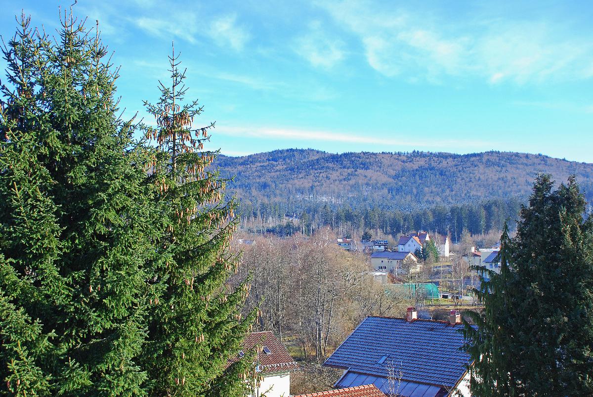 Pension Bayerwald in Frauenau