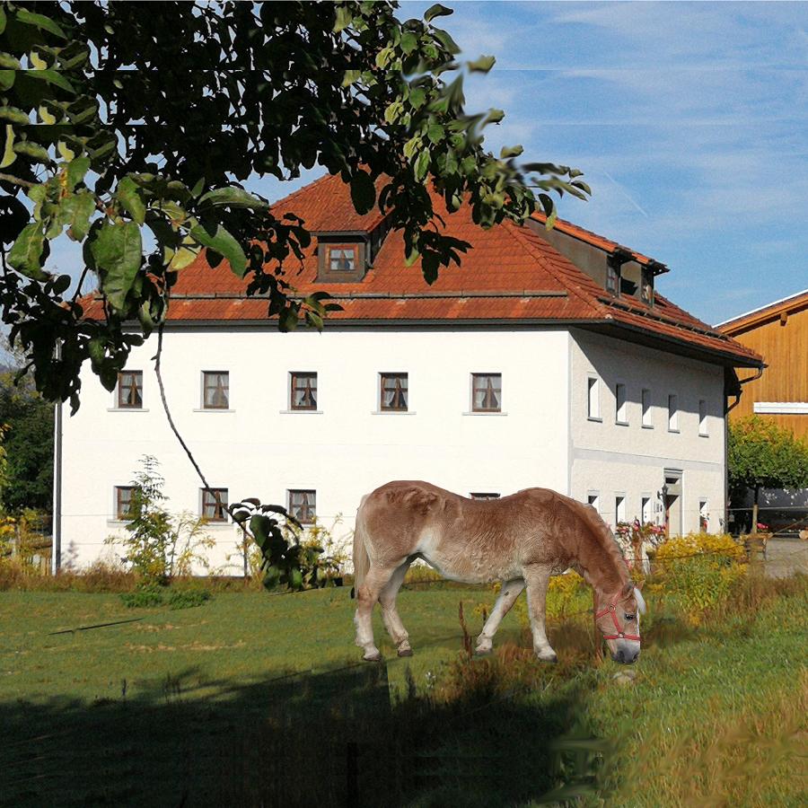Ferienhof Aiginger in Grafenau