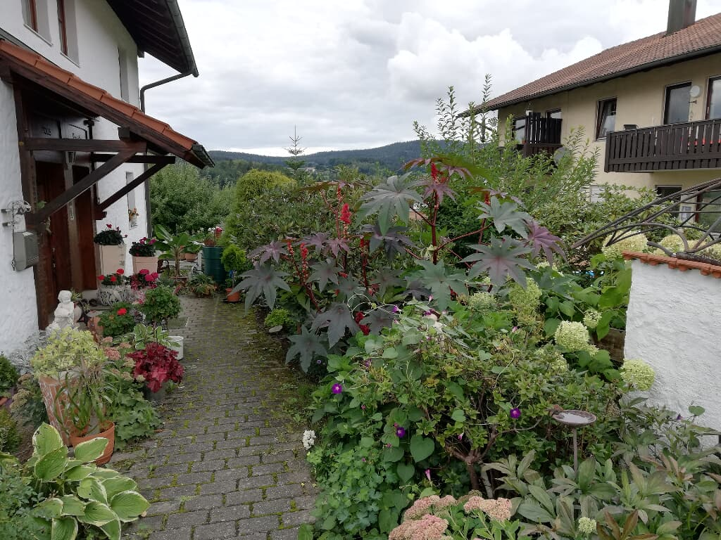 Ferienwohnung Roswitha in Grafenwiesen