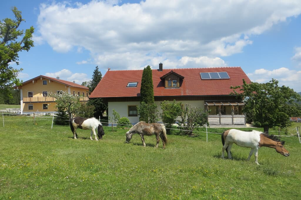 Ponyhof Adam - Urlaub auf dem Bauernhof in Eschlkam