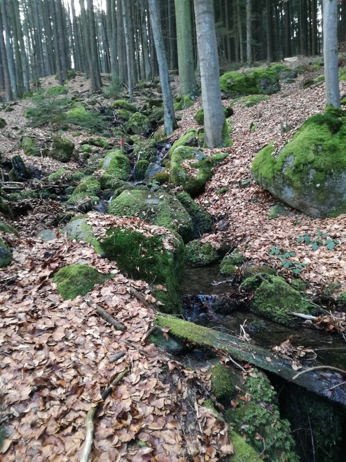 Zur Waldesruh in Waffenbrunn