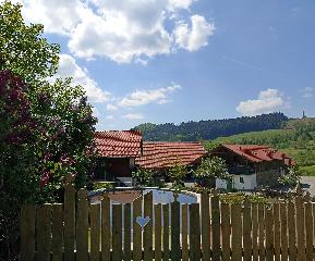 Ferienhof Irlmühl in Schwarzach