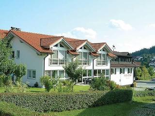 Pension zum Dorfschmied in Langdorf