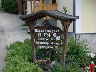 Bauernhof Bauernwagner-Hof in Langdorf