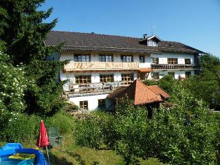 Pension - Ferienwohnung Landhaus Riedelstein in Drachselsried