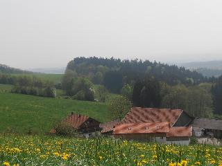 Ferienhof Irlmühl in Schwarzach