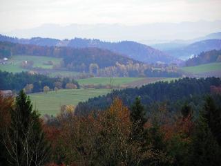 Pension Habichtstein in Kirchdorf i. Wald