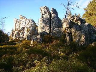 Nationalparkresidenz (Pflaum) in Lindberg