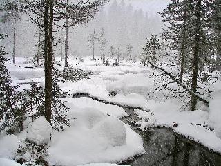 Nationalparkresidenz (Pflaum) in Lindberg