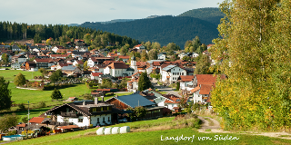 Pension zum Dorfschmied in Langdorf