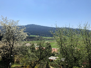 Steinbühler Hof - Stressfrei am Lande in Bad Kötzting