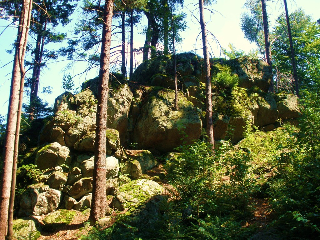 Ferienwohnungen Waldblick in Waldmünchen-Herzogau