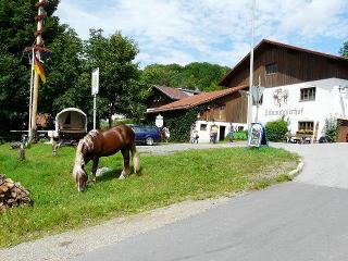 Gasthof-Pension Schmugglerhof in Grafenau