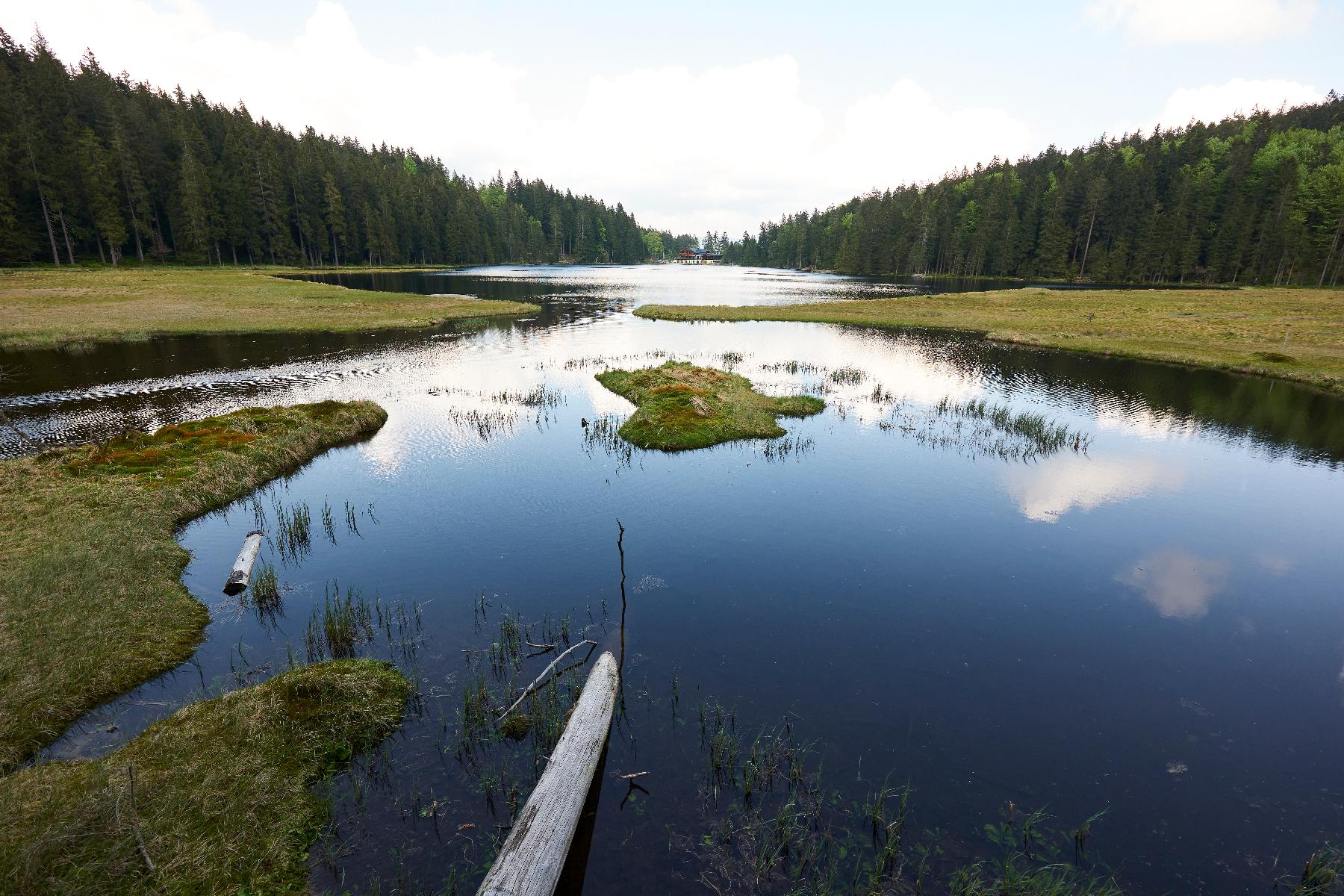 Großer Arbersee