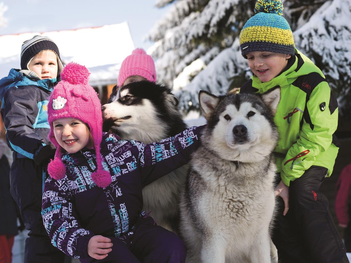 Besuche das Zuhause der Huskys