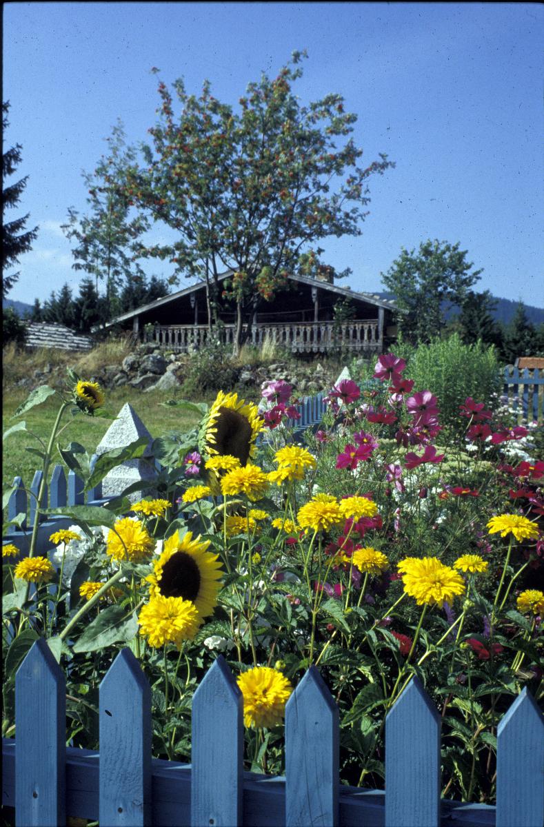 Freilichtmuseum Finsterau