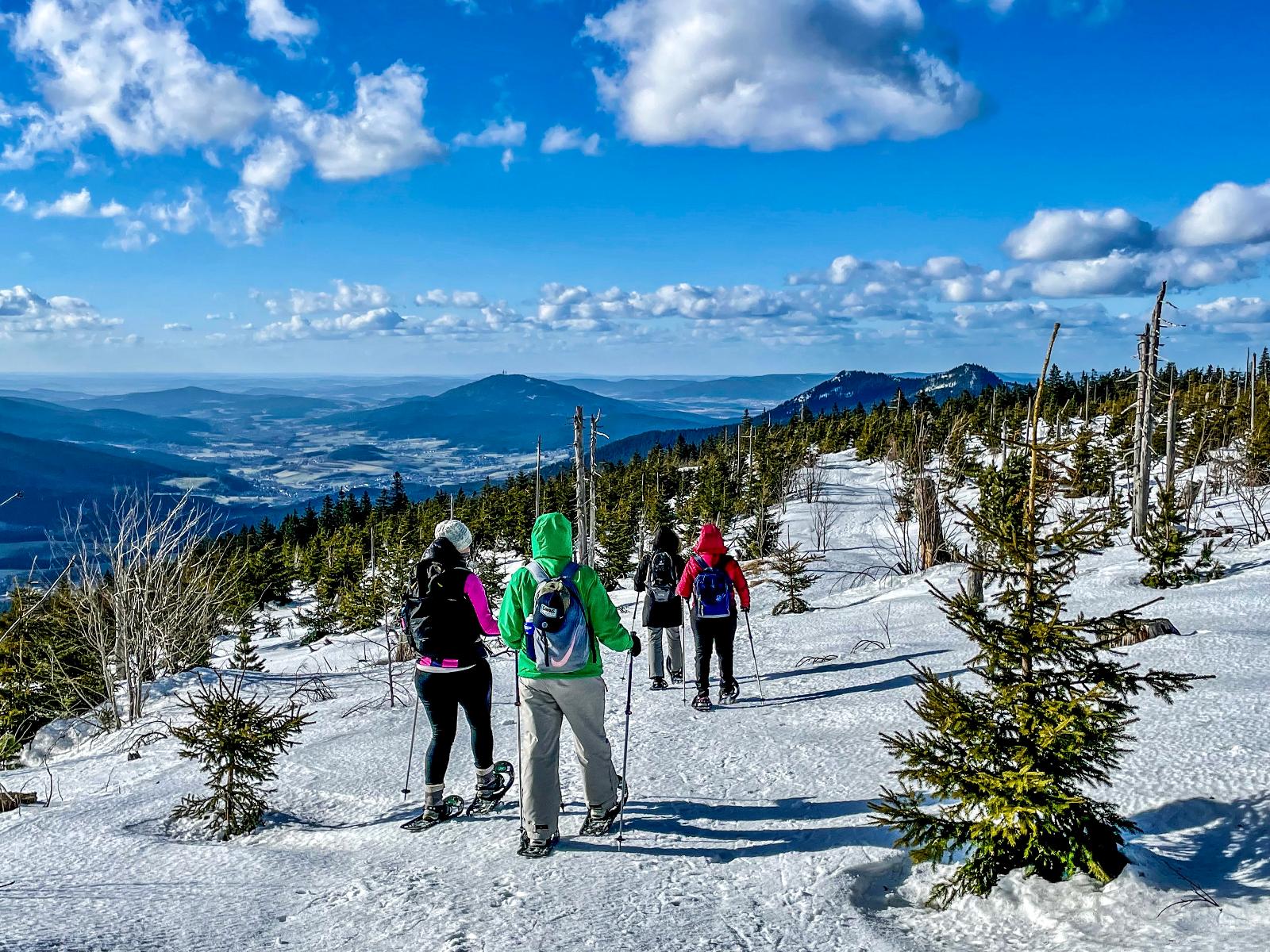 Ski- & Schneeschuhtouren Bayerischer Wald