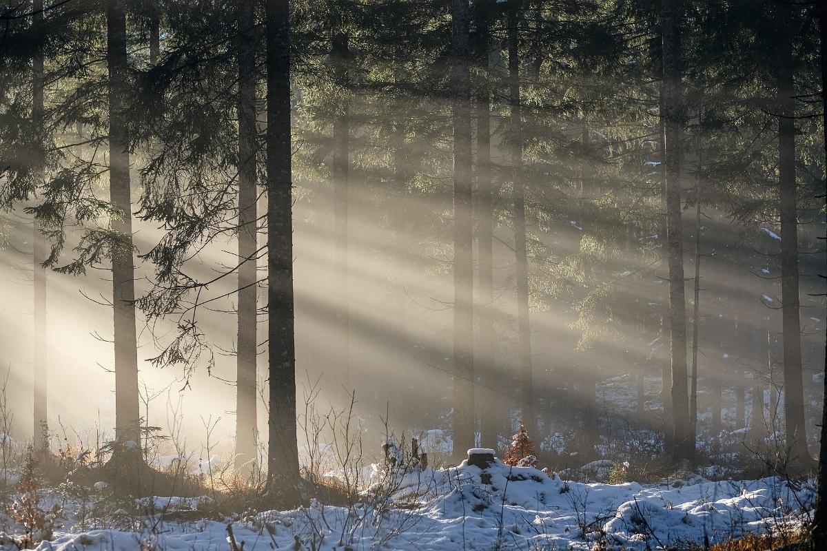 Auszeit im WOID
