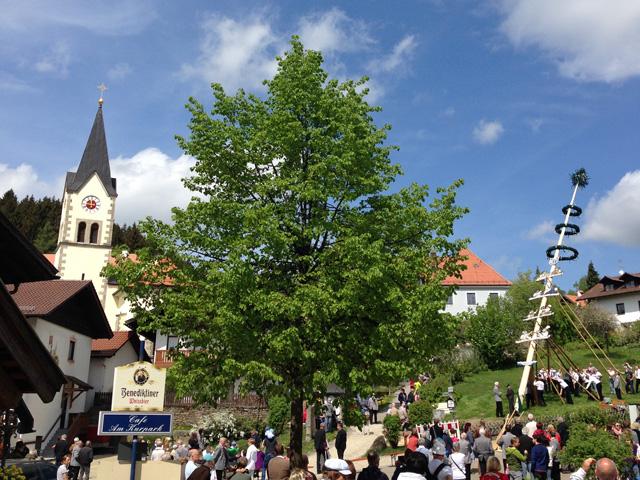 Maibaumfest