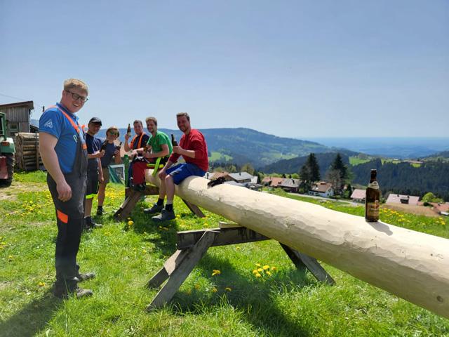 Maibaum aufstellen