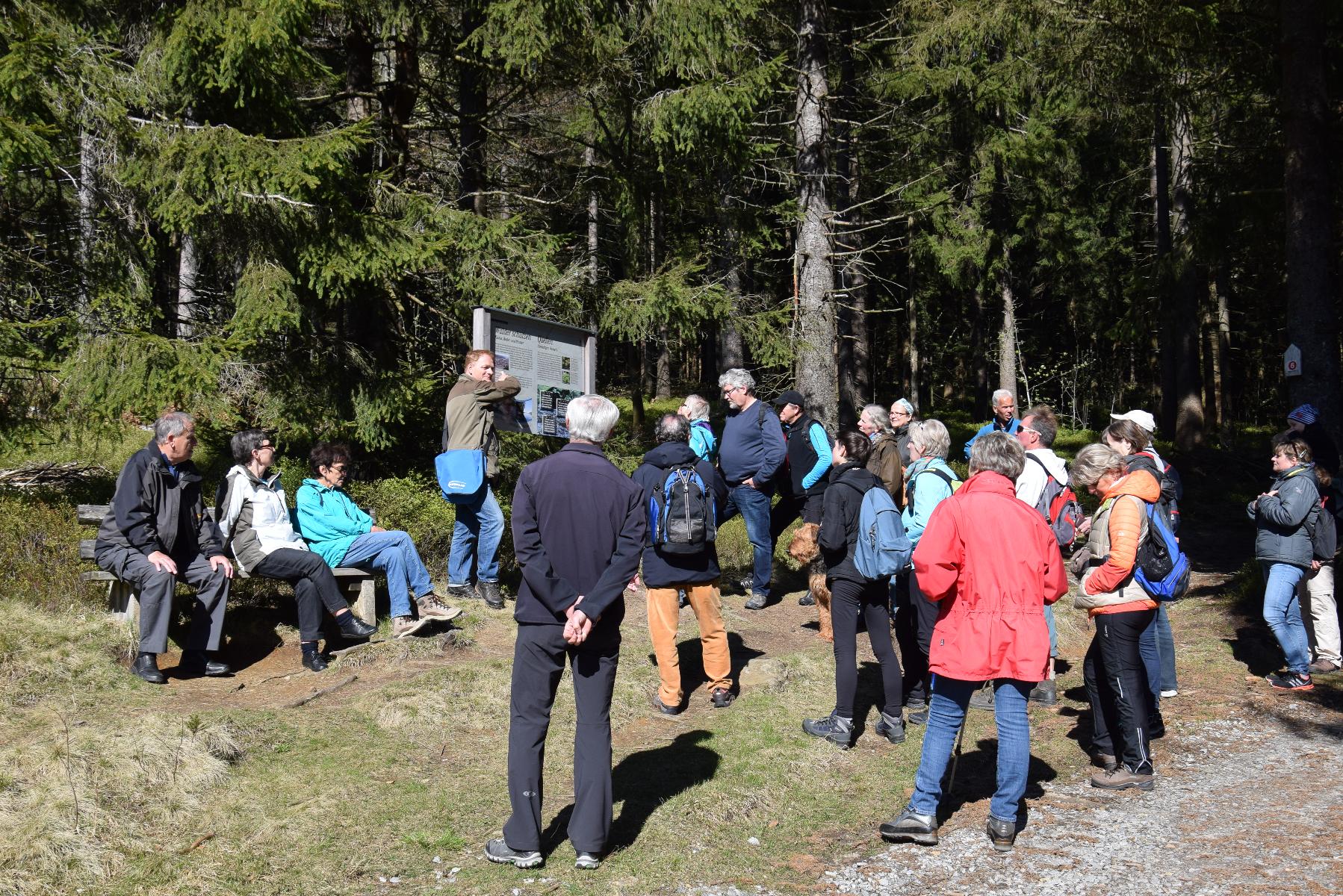 Wildes Waldgebirge
