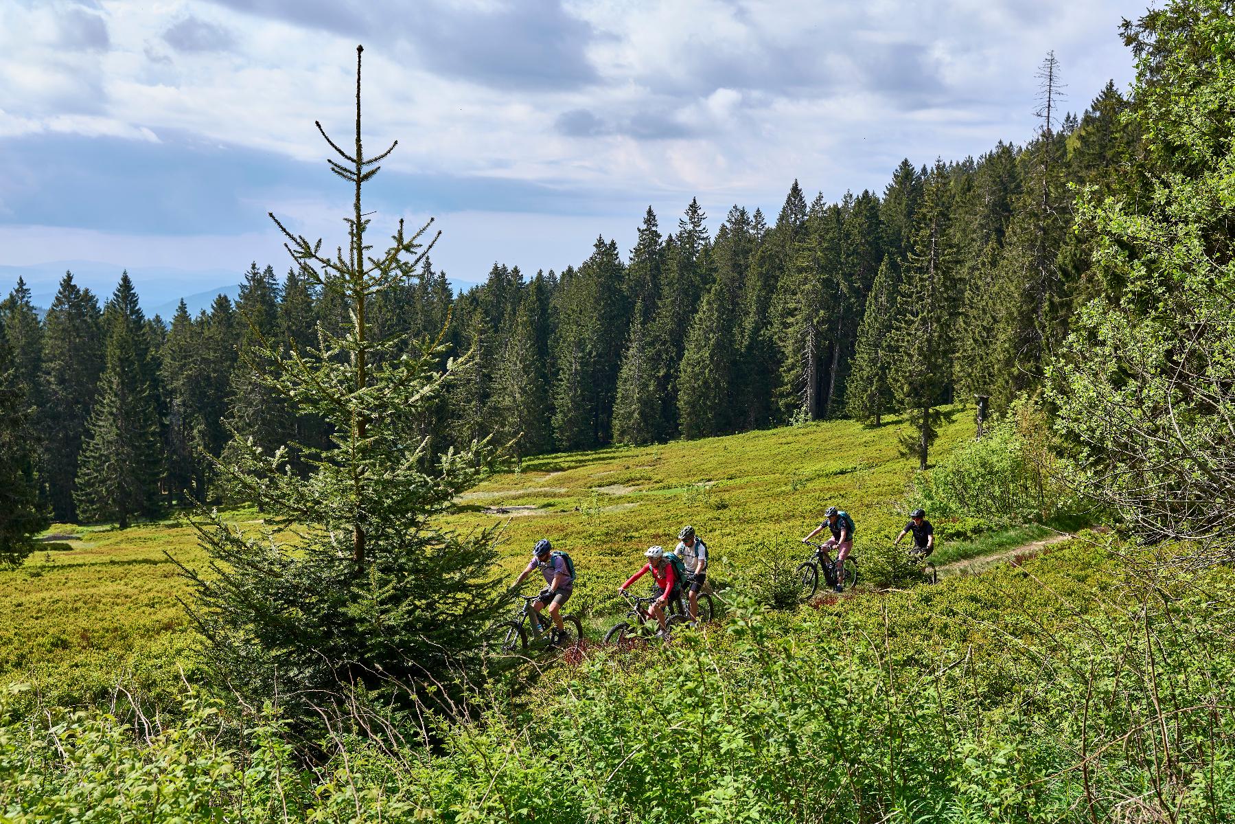 Geführte E-Bike Tour