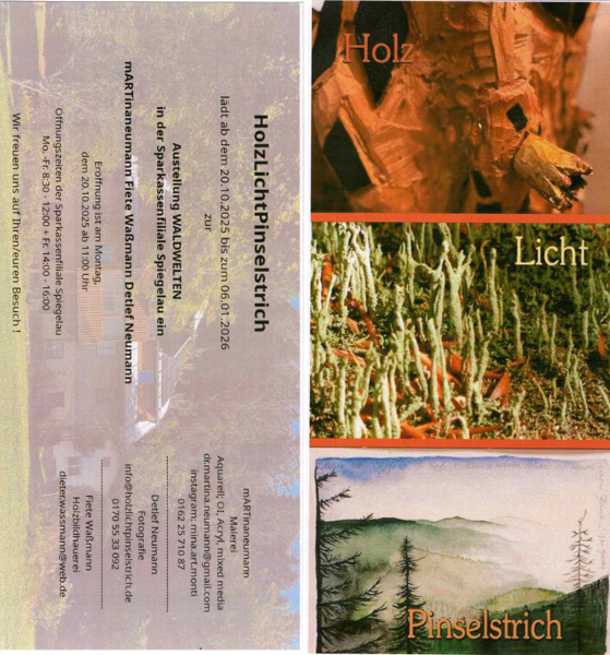 HolzLichtPinselstrich