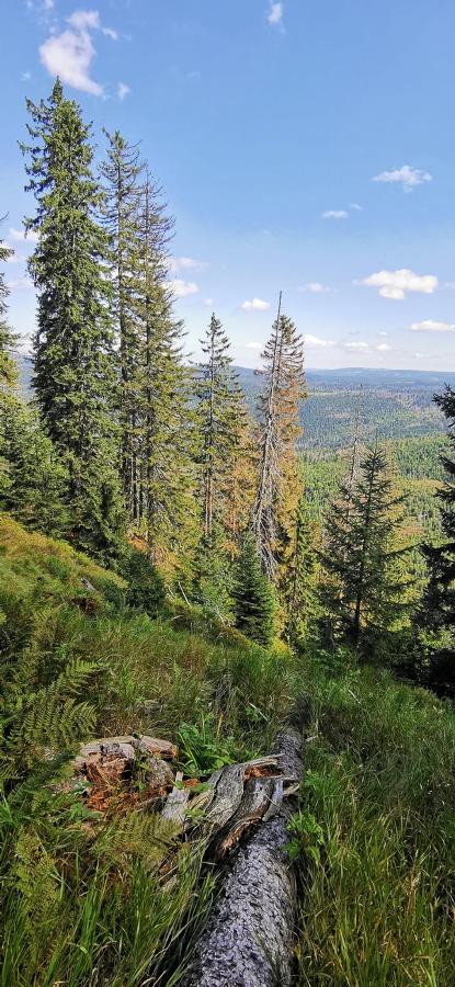 Holzlichtpinselstrich 1