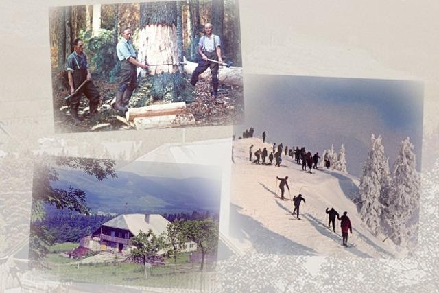 Lichtbildvortrag ProNat