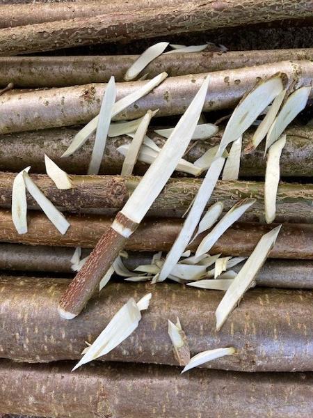 
                                                            
                                                                Nationalpark exklusiv - Grünholzschnitzen
                                                        