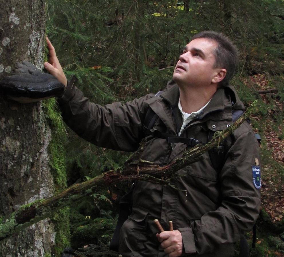 
                                                            Wildnis-Spaziergang mit dem Ranger
                                                        