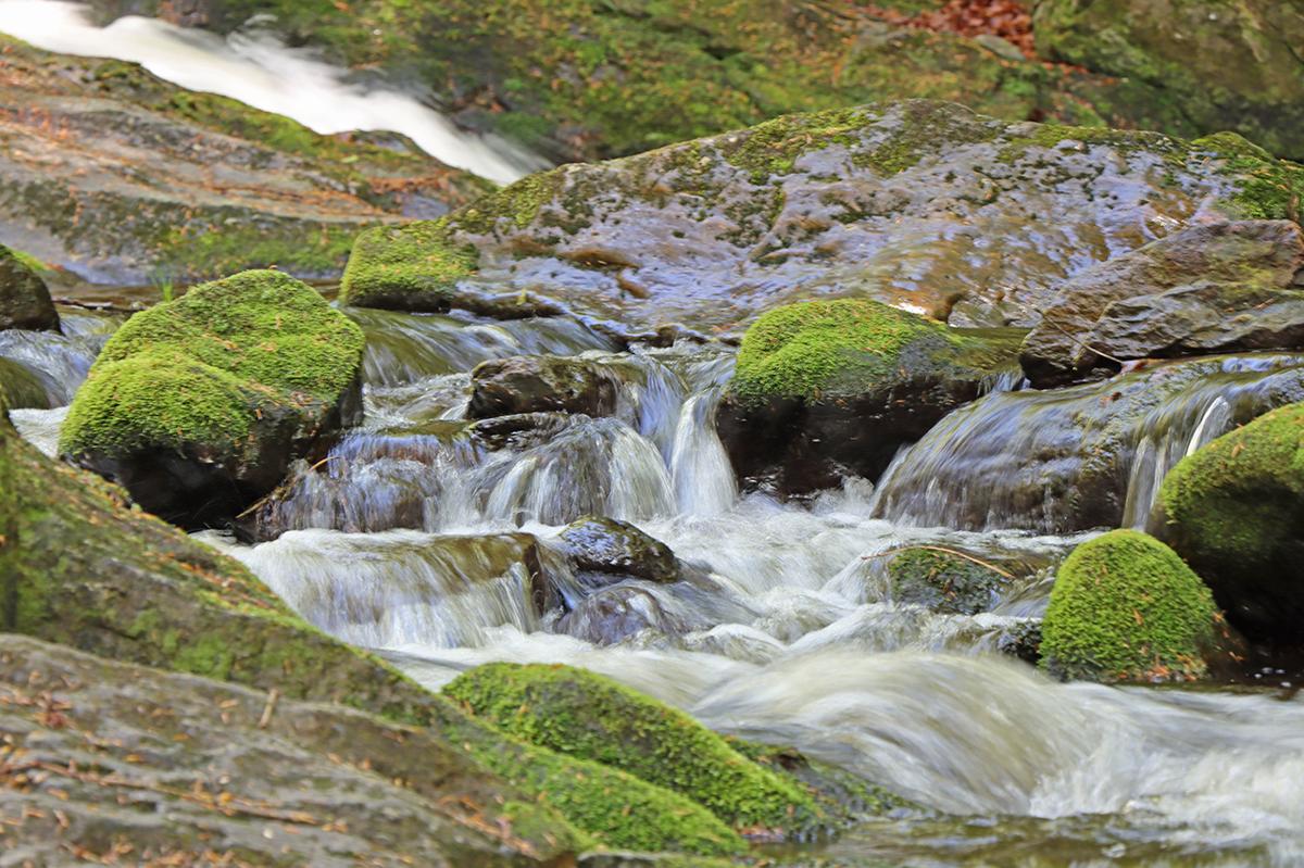 
                                                            Steinklamm-Wanderung
                                                        