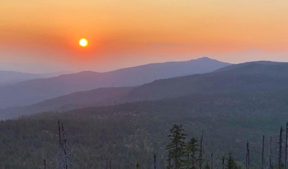 Sonnenuntergangswanderung auf dem Baumwipfelpfad