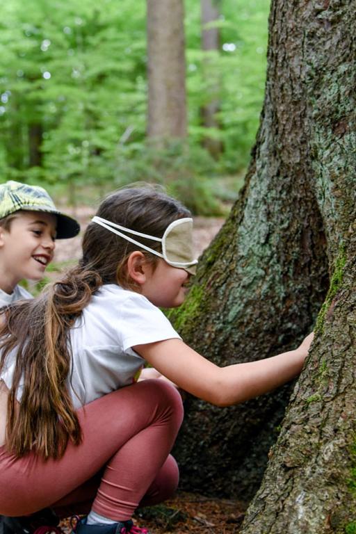 "Sinnesreise durch den Zauberwald"