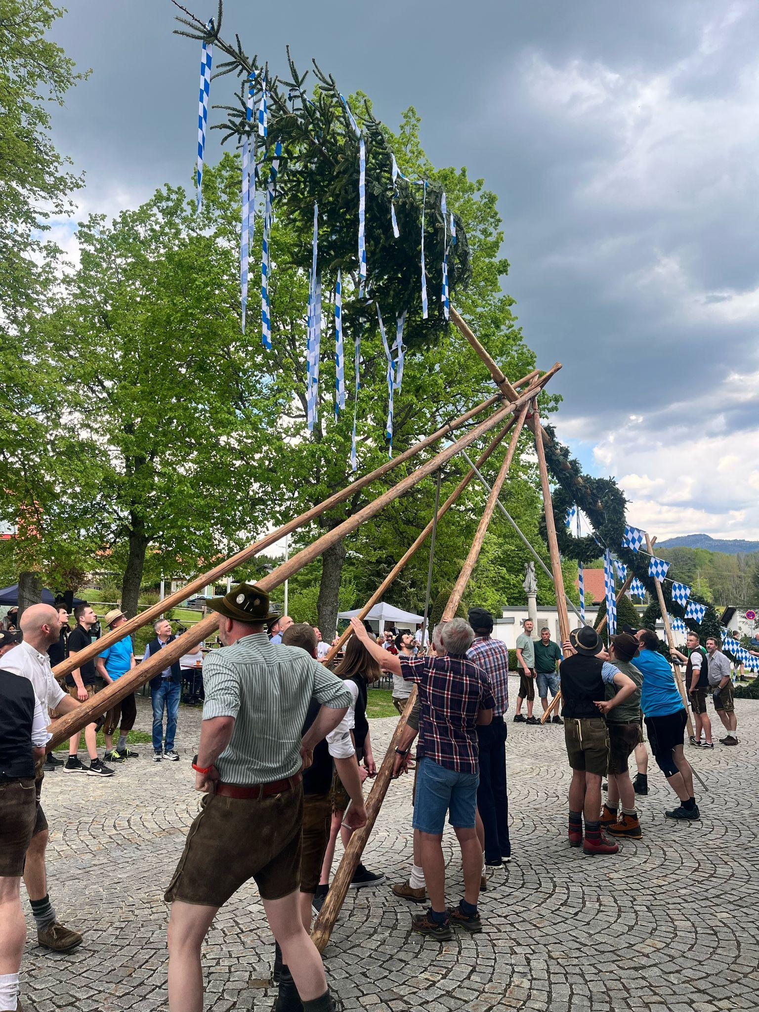 
                                                            Maibaumaufstellen Klingenbrunn
                                                        