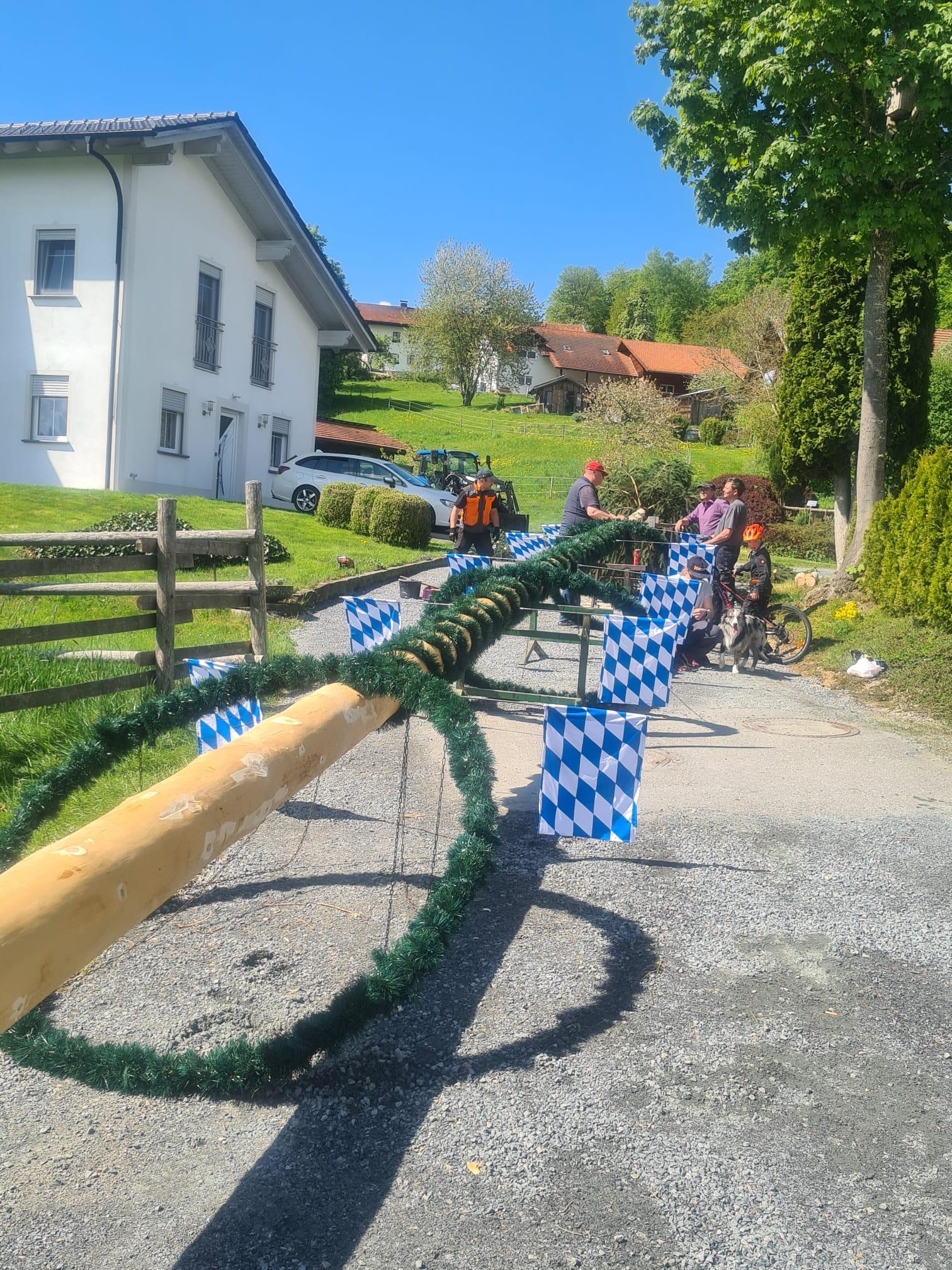 
                                                            Maibaumaufstellen Langdorf
                                                        