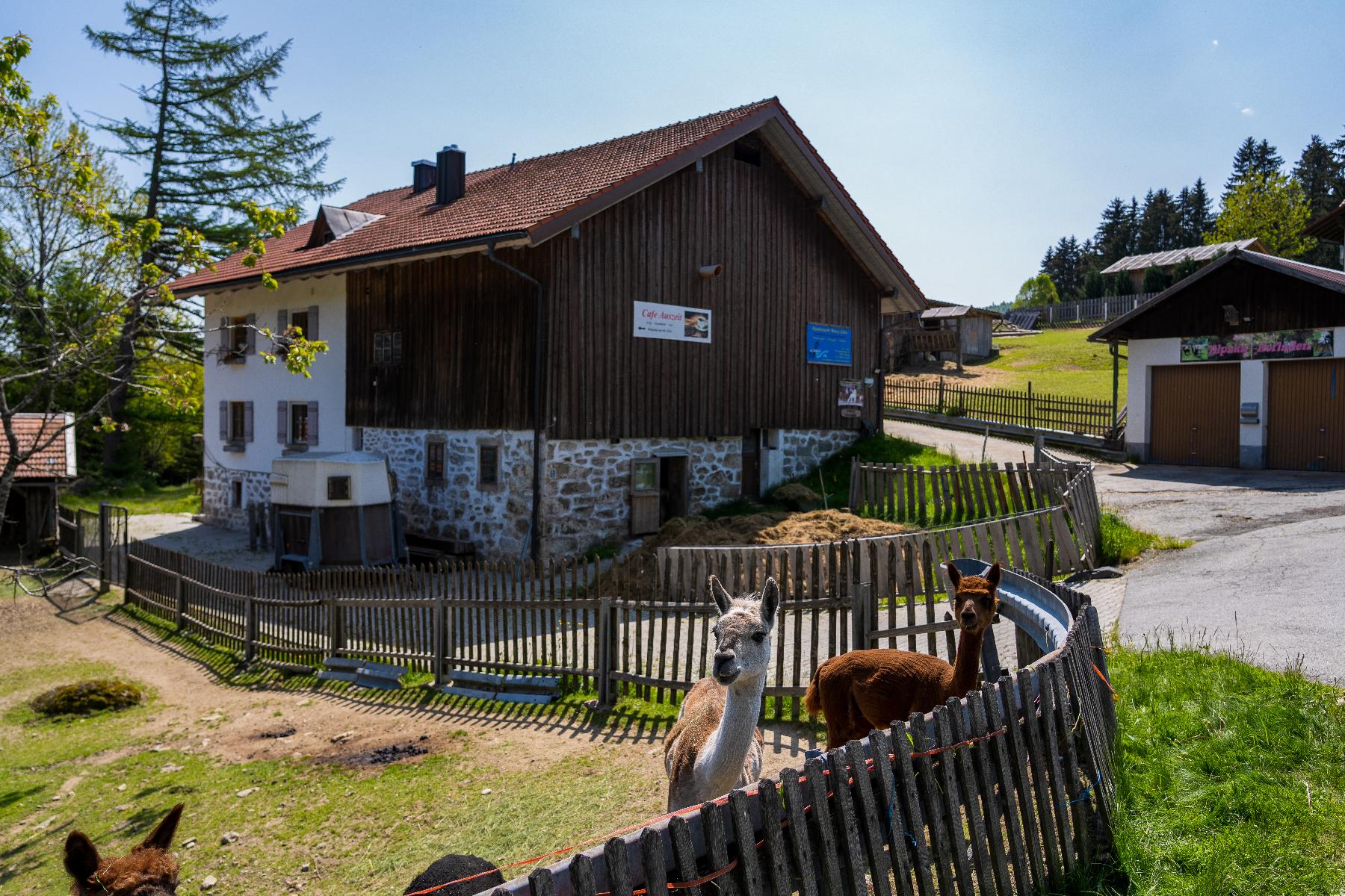 Hofladen der Alpakas vom Reschbachtal