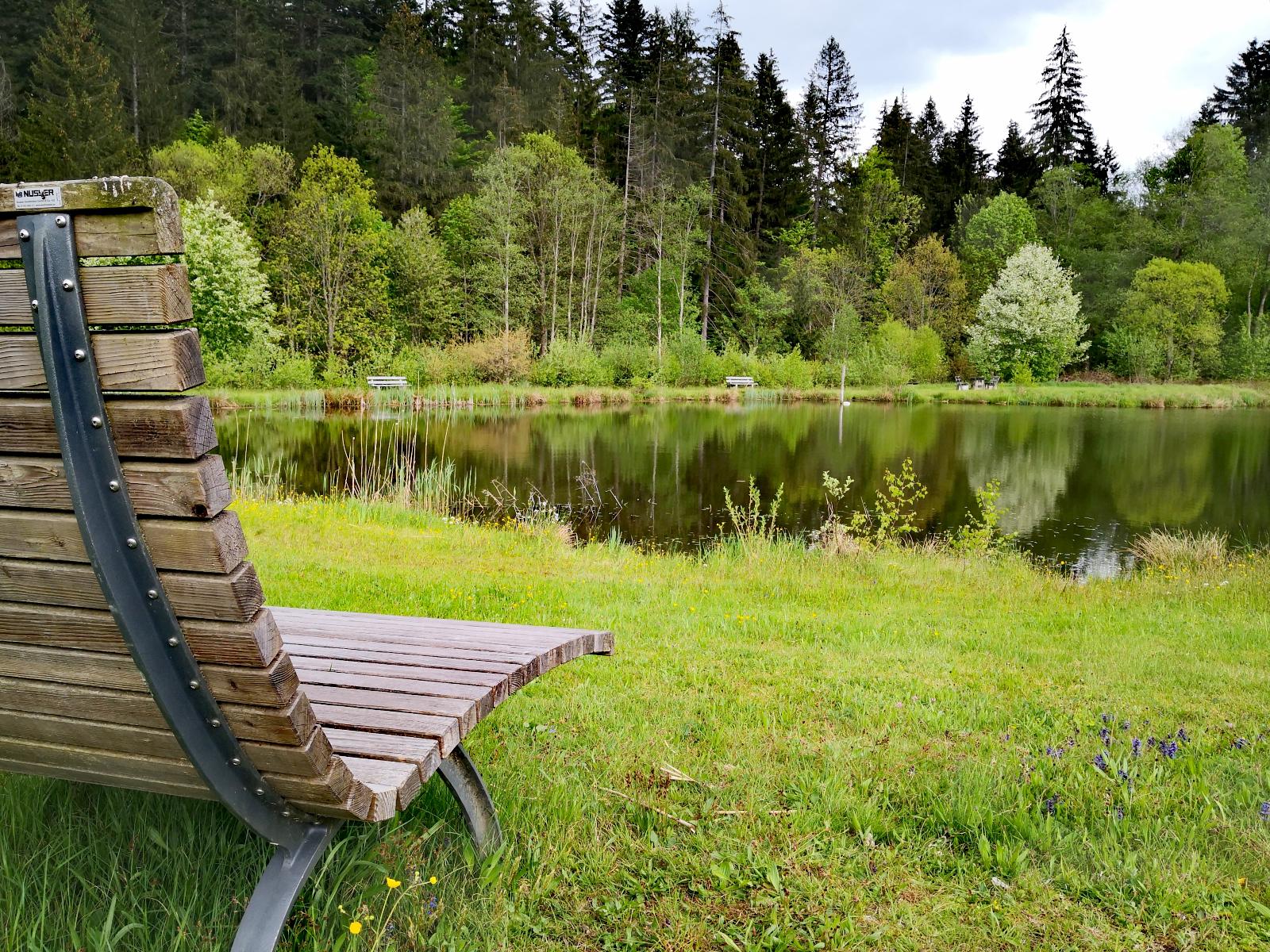 Landschaftsweiher Regenhütte