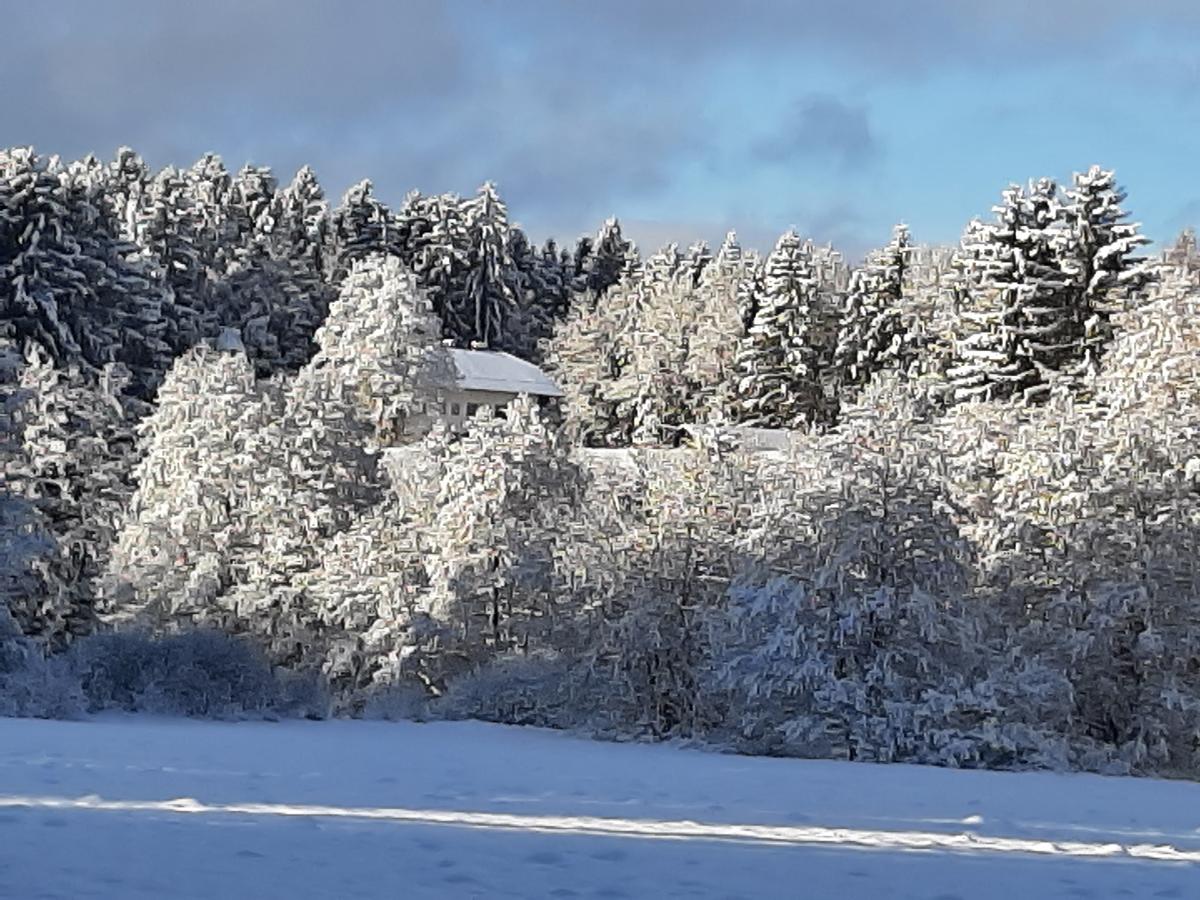 Chalet Waldstadl/ Andrea's Woidhaisl in Arnbruck
