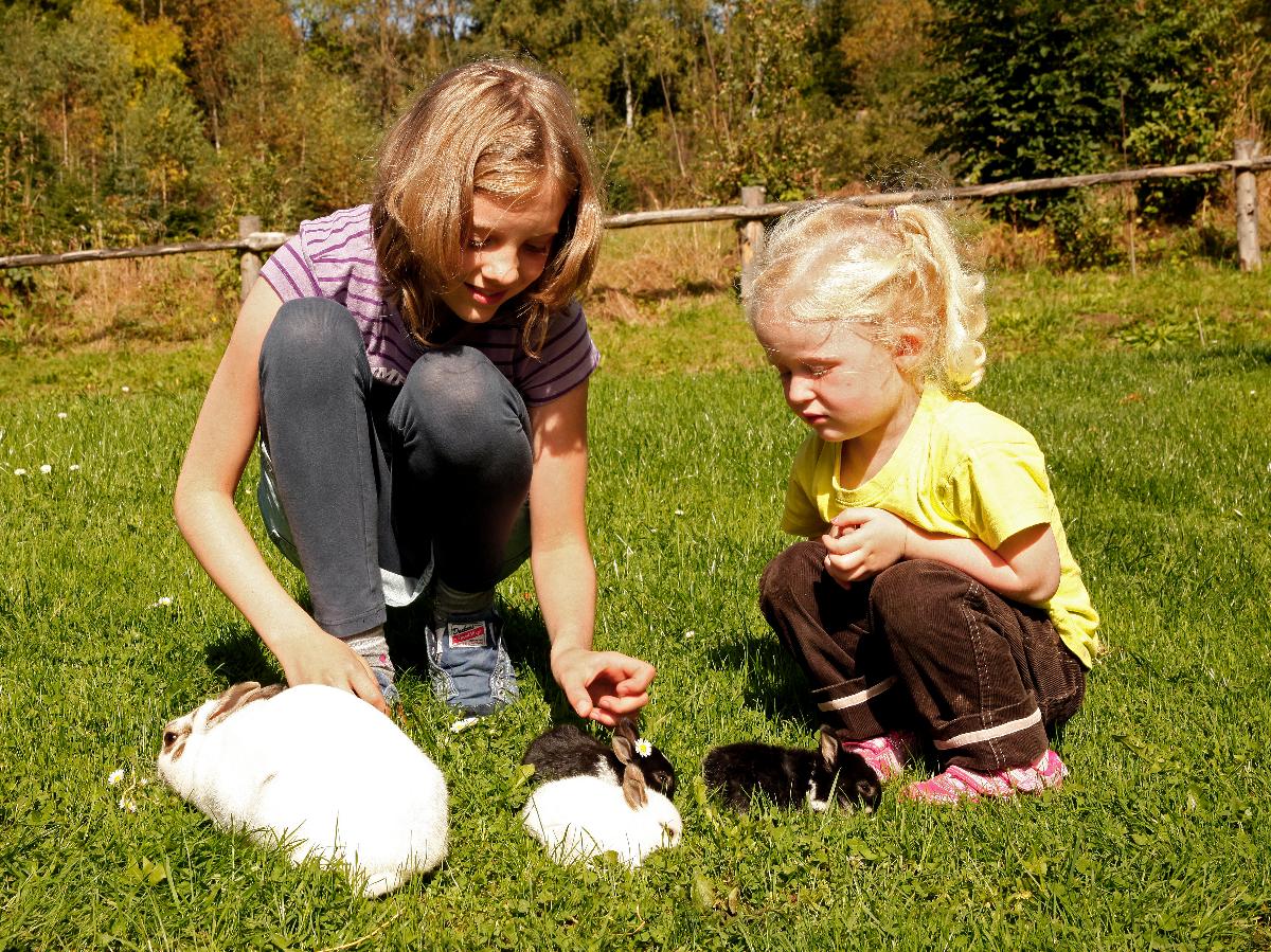 Urlaub auf dem Haberlhof in Lohberg