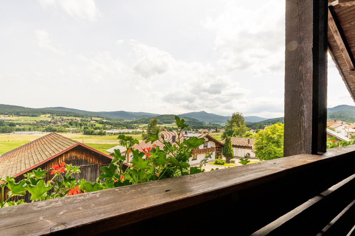 Arracher Hof-