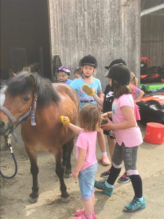 Mirtl-Hoarl-Hof in Eschlkam