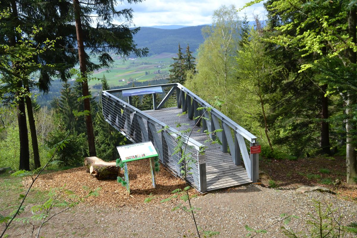 Erlebnispension Zum Wanderer Sepp in Arnbruck